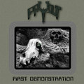 First Demonstration