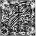 Aphotic