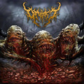 Into Decimated Reality
