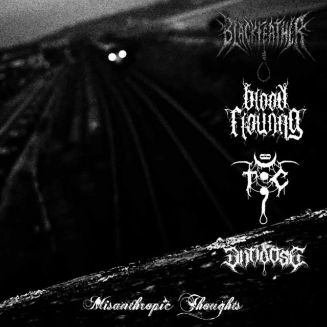Misanthropic Thougths (Split)