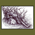 The Fall of the Wood - 2005