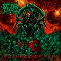 Scourge of Pain