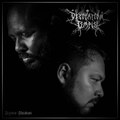 Desolation Temple - Diffuse Shadows (Single)