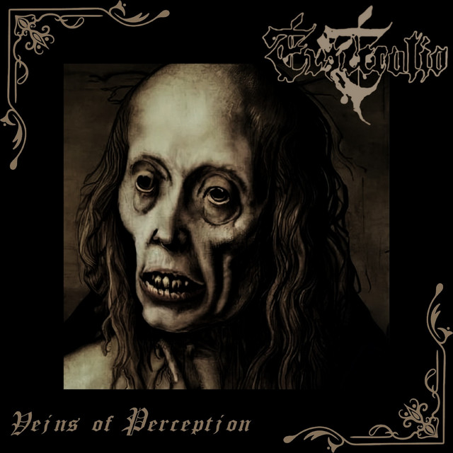 Veins of Perception