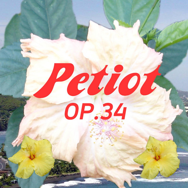 OP.34