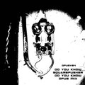 Do You Know Squarepusher (Do You Know Opus Remix)