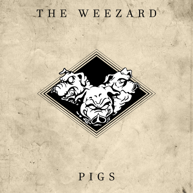 Pigs