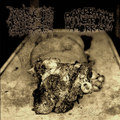Decaying on The Slab