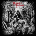 Dusk of Shadows (Necrópole cover) (single)