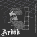 s/t