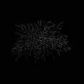 Ação Libertária - (Demo 2010)