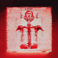 X-RAY (Rage Edit)