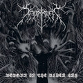Reborn in the black sky