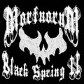 Black Spring II