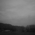 Winter Malaise