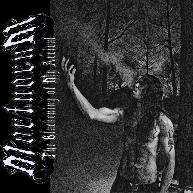 The Blackening of My Arrival