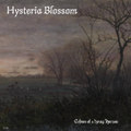Echoes of a Dying Horizon
