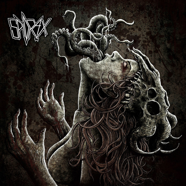 Spidrax