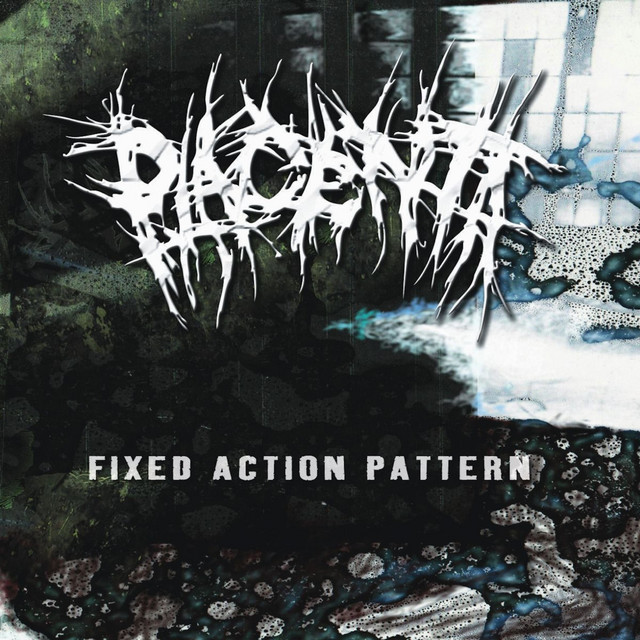 Fixed Action Pattern