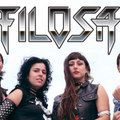 Furia del Vengador