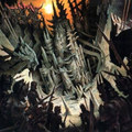 The Cult of the Dragon
