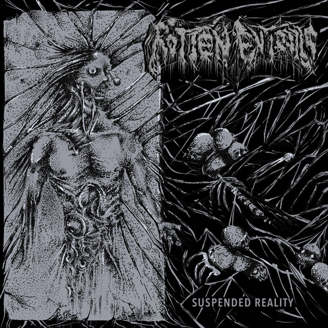 Suspended Reality