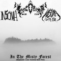 In The Misty Of Forest (Especial De 1 Ano de Insônia Sem Fim)