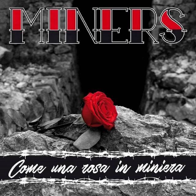 Come una rosa in miniera