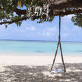 Island Afternoon