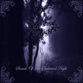 Sounds Of An Orchestral Night