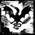 Antikosmos