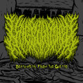 Death Metal From The Ghetto