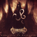 Afterlife In Darkness (2022 Re master)