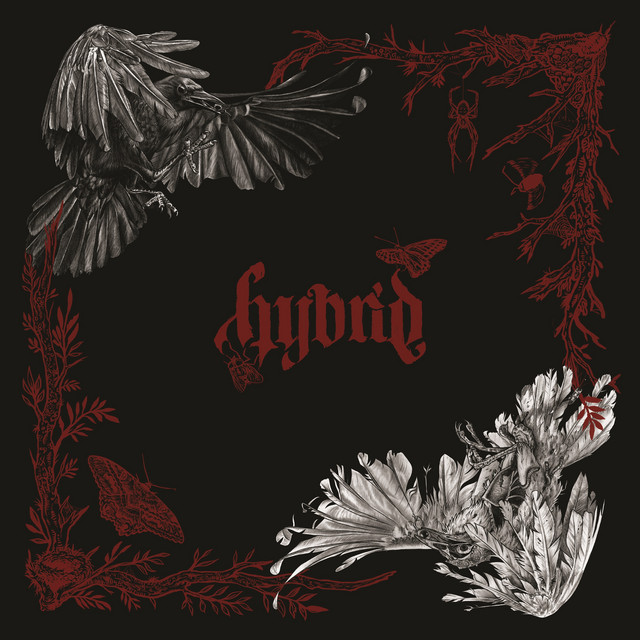 Hybrid Duality