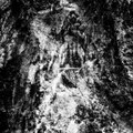 Death Codex: I (Flesh Consecration)