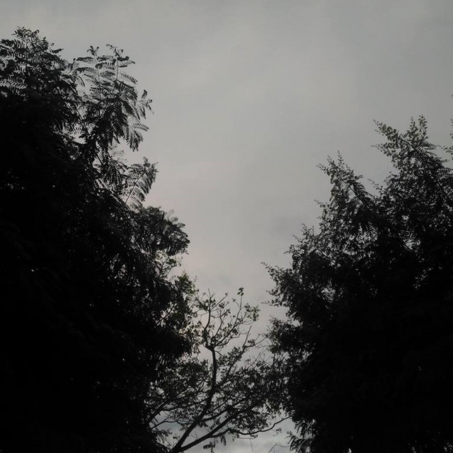 Wind