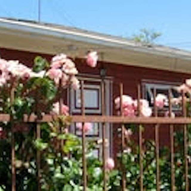 mariposa