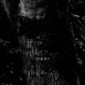 Hantu Hutan