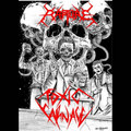 Preachers of the Fallen Fate