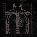 Growing Pains (Split EP)
