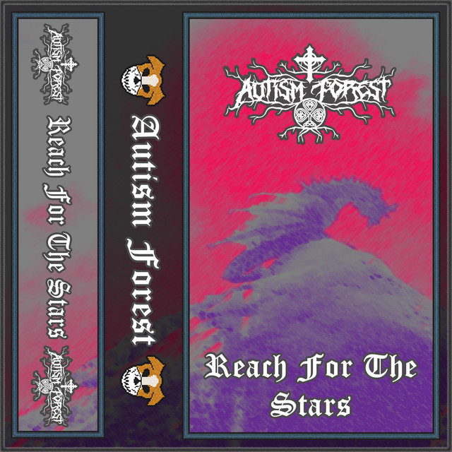 Reach For The Stars (Plaguewire Cover)