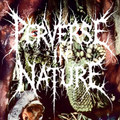 Overwhelmed By Parasitic Lifeforms
